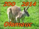 Olomouc 2014
